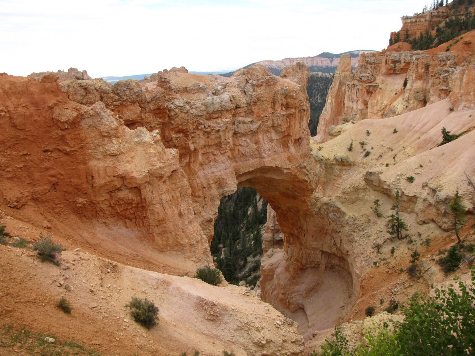 Natural arch in red sandstone on a Utah trip