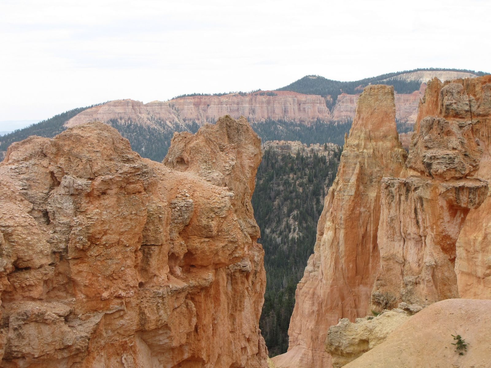 Red and cream sandstone spires above Bryce Canyon in Utah